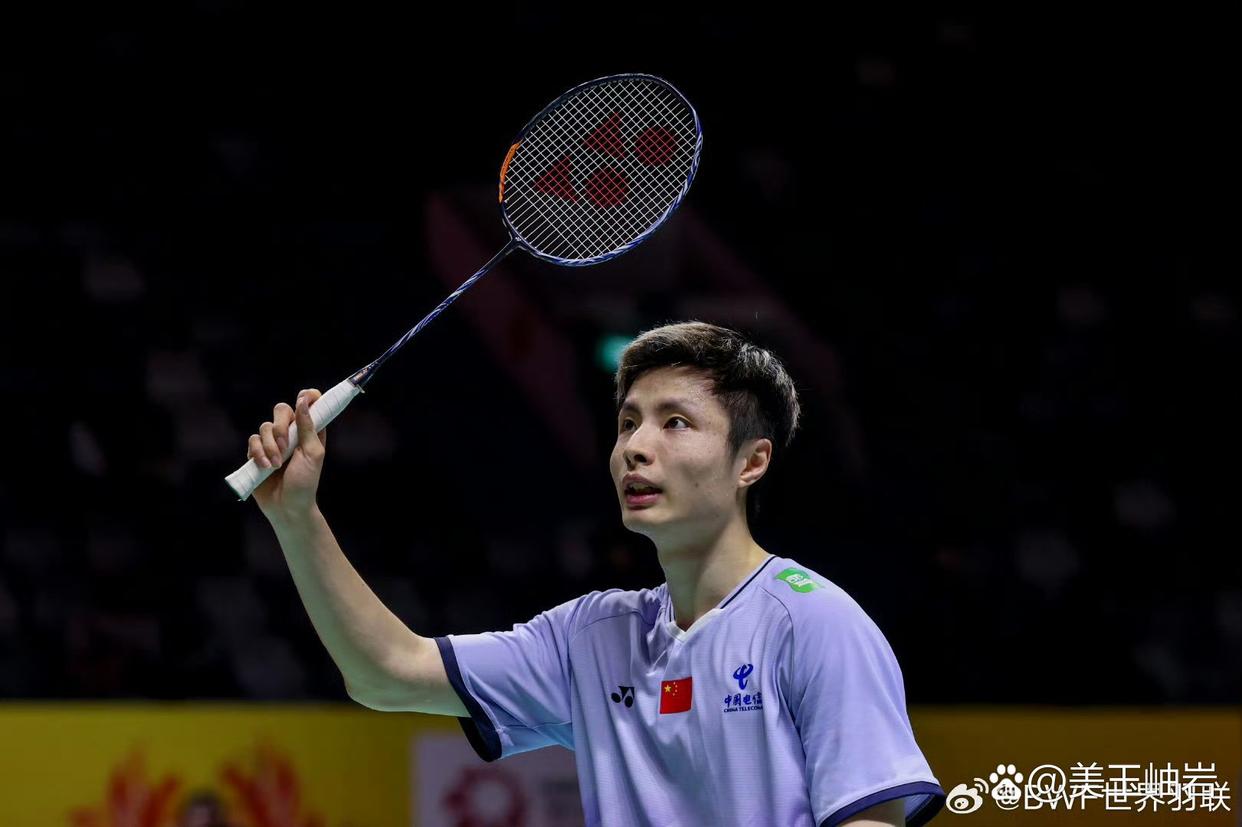 协作的稳定 协作的稳定