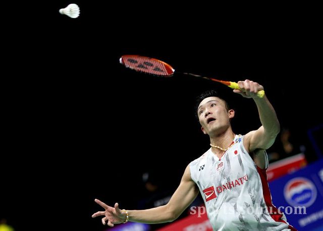 智商和细腻 智商和细腻