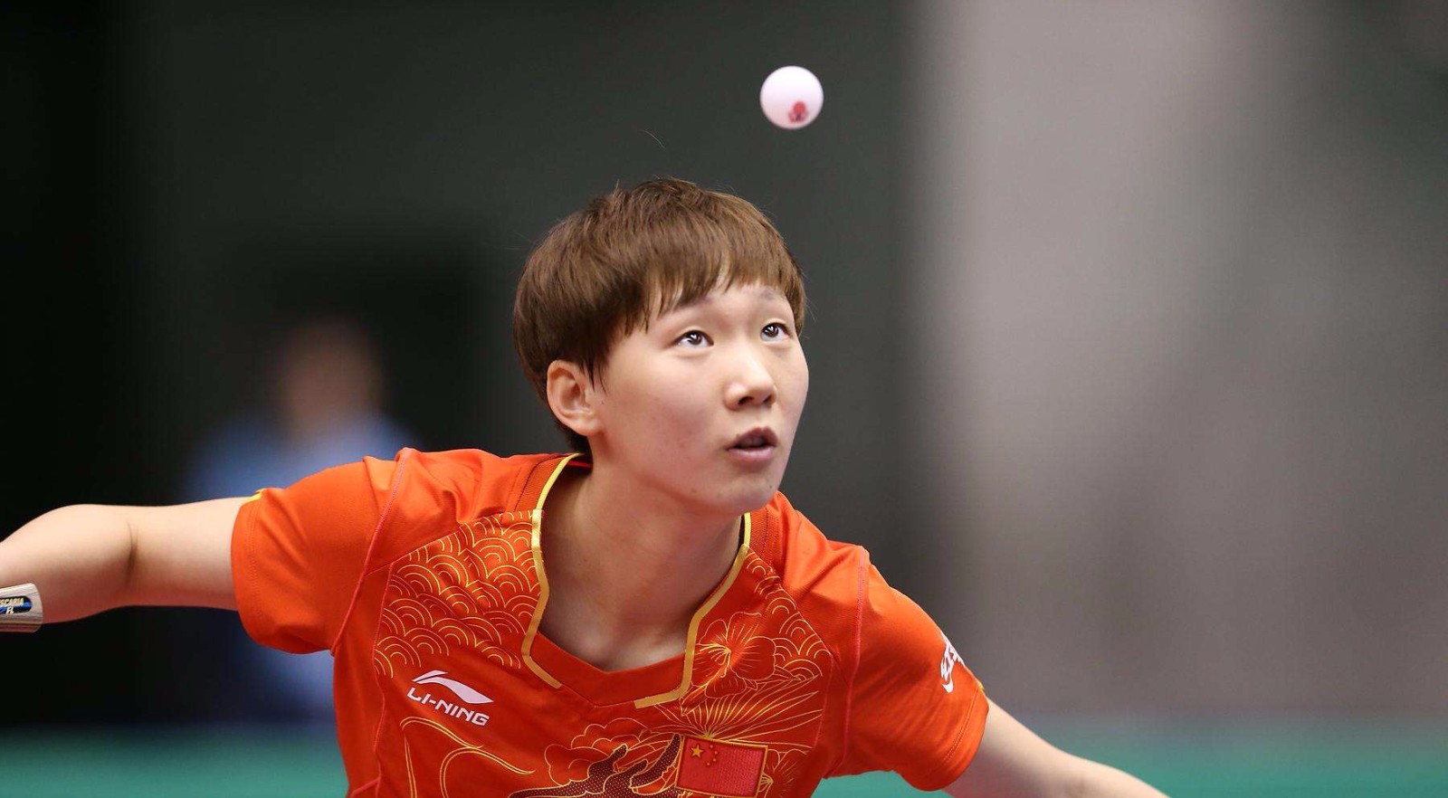 本年度高尔 本年度高尔