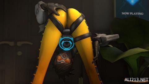 不仅彰显了 不仅彰显了